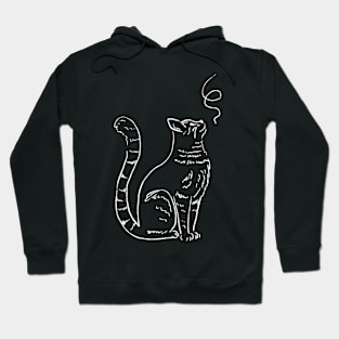 Cute Kitty with String Hoodie